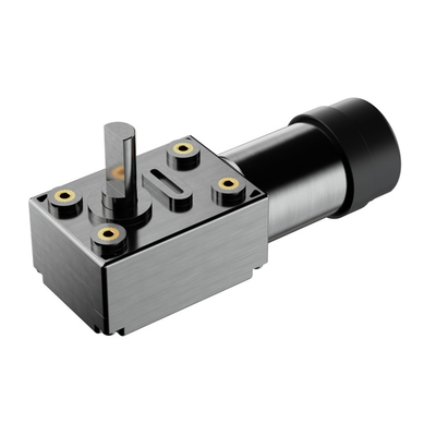 24vdc 0.6w Small Worm Gear Motor สําหรับอุปกรณ์ที่สวมใส่ที่ฉลาด